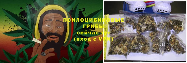 прущие грибы Корсаков