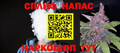 шишки Кингисепп