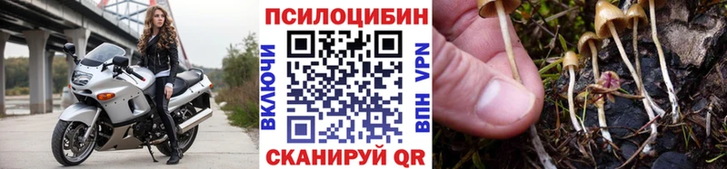 Галлюциногенные грибы мухоморы  блэк спрут онион  Сланцы 