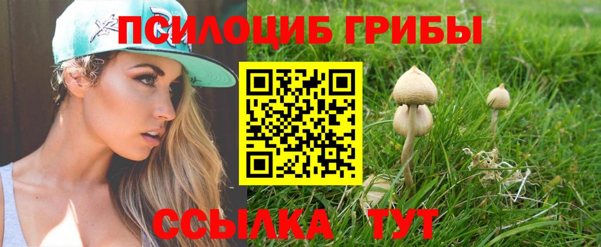 Сланцы  Галлюциногенные грибы ЛСД  Вход с VPN 