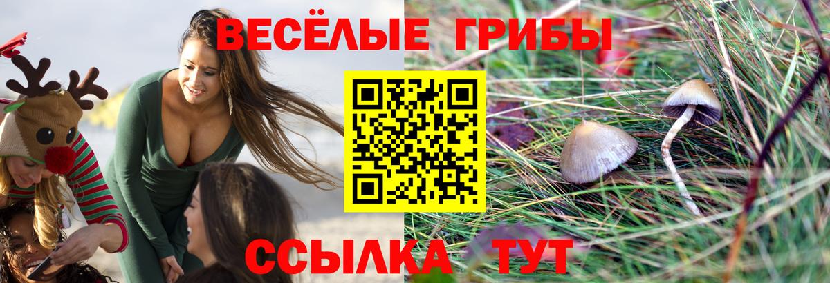Псилоцибиновые грибы мухоморы Сланцы